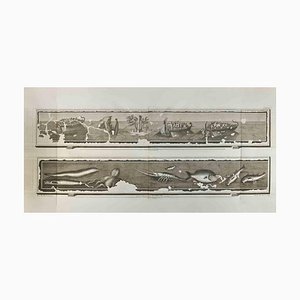 Roccus Pozzi, Antiquities of Herculaneum, Etching, 18th Century