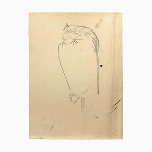 Reynold Arnould, Owl, Drawing, Mid-20th Century