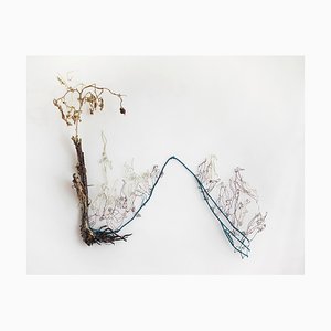 Beatrice De Domenico, The Beautiful Blue, 2022, Mixed Media Sculpture