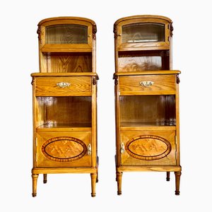 Art Nouveau Ash and Precious Woods Nightstands, Central Europe, 1890s, Set of 2