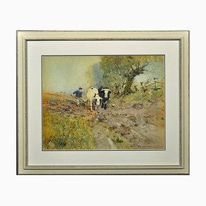 Oswald Garside, Bulls Ploughing, 1904, Watercolor, Framed
