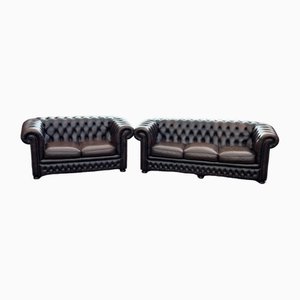 Set of Vintage Salon Chesterfield Sofas, 2000s