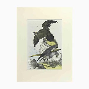 Johann Friedrich Naumann, Eagles, grabado, 1840