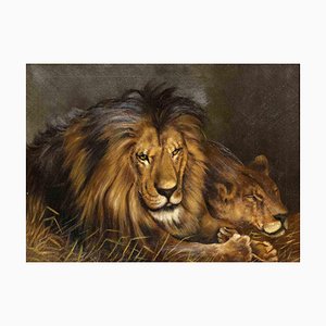 Unknown, Lions, Oil Painting, 1950s