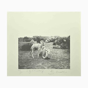 Bettino Craxi, Tunis, Photolithograph, 1996