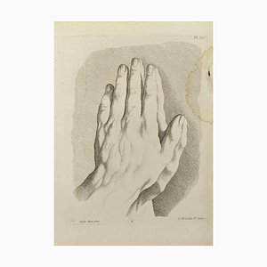 Nicholas Cochin, Anatomy Studies after Guido Reni, Etching, 1755