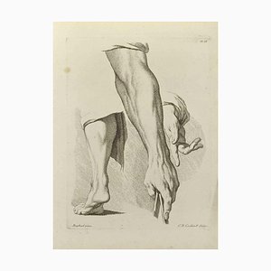 Nicholas Cochin, Anatomy Studies, Etching, 1755