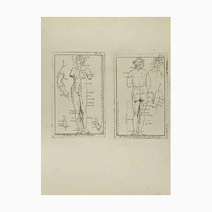 Jean François Poletnich, Venus, Radierung, 18. Jh.