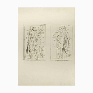 Jean François Poletnich, Hercule, Etching, 18th Century