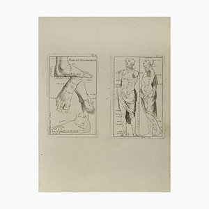 Jean François Poletnich, Anatomy Studies, Etching, 18th Century
