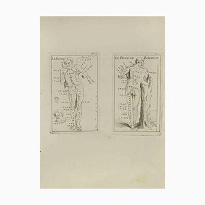 Jean François Poletnich, Anatomy Studies, Etching, 18th Century