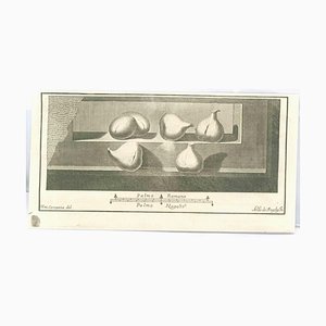 Vincenzo Campana, Pompeian Fresco, Etching, 18th Century