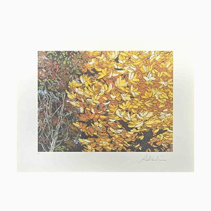 Rolandi (Maurizio Coccia), Landscapes of Autumn, Screen Print, 1980s