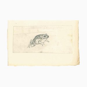 Emmanuel Gondouin, Frog, Drawing in Pencil, 1930s