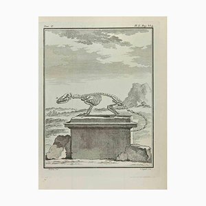 Louis Legrand, Skeleton, Etching, 1771