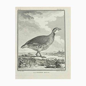 Jaqcues Blanchon, La Perdrix, Etching, 1771