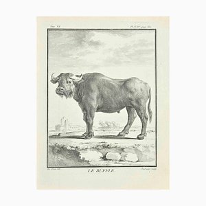 Claude Jardinier, Le Buffle, Etching, 1771
