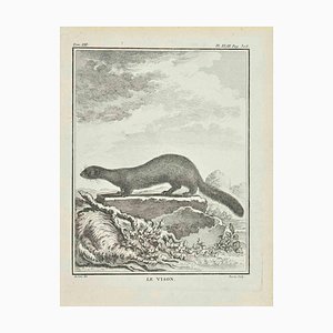 Jacques Baron, La Vison, Etching, 1771