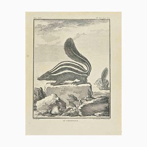 Madeleine Ruosselet, Le Conepate, Etching, 1771