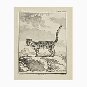 Louis Legrand, Le Margay, Etching, 1771