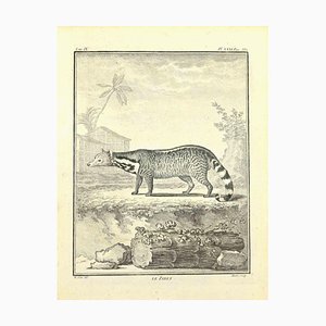 Jean Gullaume Moitte, Le Zibet, Eau-forte, 1771