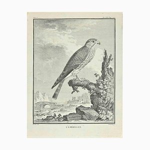 Carl Guttenberg, L'Emerillon, Etching, 1771