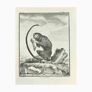 Madeline Rousselet, Le Tamarin, Etching, 1771