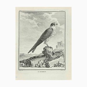 F. Hubert, Le Hobreau, Etching, 1771