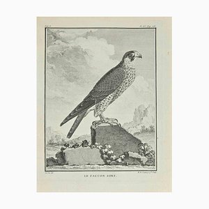 N. De Launnay, Le Faucon Sort, Etching, 1771