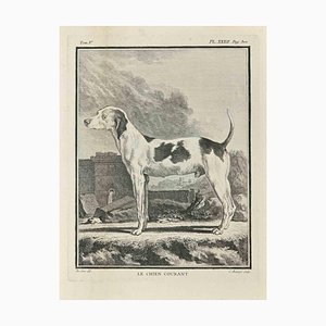 Jean Charles Baquoy, Le Chien Courant, Etching, 1771