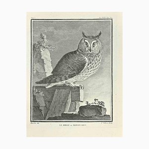 F. Hubert, Le Hibou ou Moyen Duc, Etching, 1771