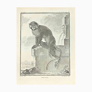 Frnaçois-Philippe Charpentier, Moustac, Etching, 1771