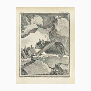 Louis Legrand, La Chauve, Etching, 1771
