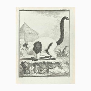 Jean Moitte, Le Vari, Etching, 1771