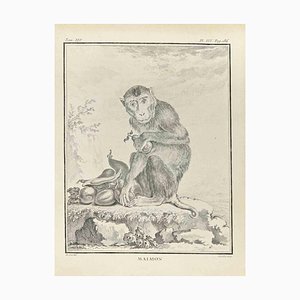 Juste Chevillet, Maimon, Etching, 1771