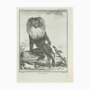 A-J De Fehrt, Ouanderou, Etching, 1771