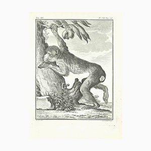 Louis Legrand, Papion, Etching, 1771