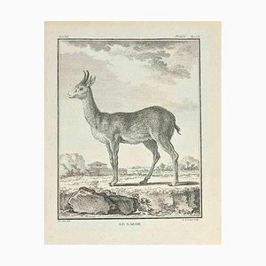 Louis Legrand, Le Nagor, Etching, 1771