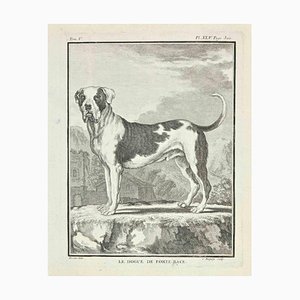 Jean Charles Baquoy, Le de Forte Race, Etching, 1771