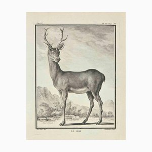 Claude Jardinier, Le Cerf, Etching, 1771