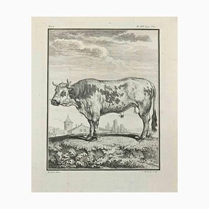 Jean Charles Baquoy, Le Chevreuil, grabado, 1771