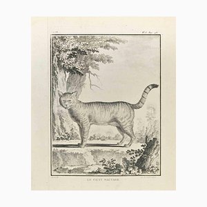Louis Legrand, Le Chat Sauvage, Etching, 1771