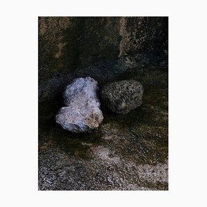 Jess Hon, A Loving Couple, 2022, Photographic Print