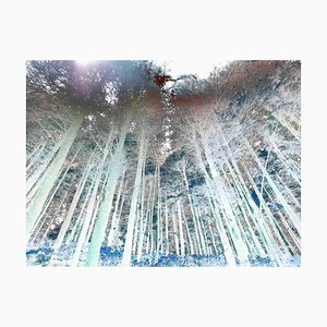 Sumit Mehndiratta, White Monsoon, 2023, Impresión en lienzo de pigmento de archivo