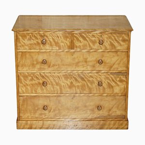 Antique Victorian Satin Birch Chest of Drawers from Holland & Sons, 1880