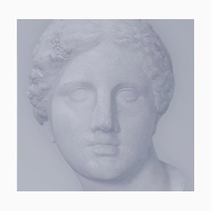 Benoit Lapray, Iconic Beauty #15, Photographic Print