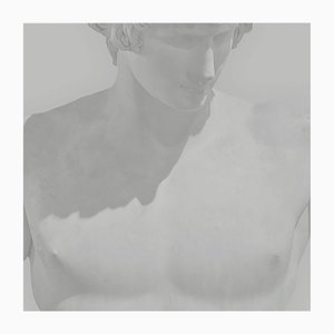 Benoit Lapray, Iconic Beauty #07, Photographic Print
