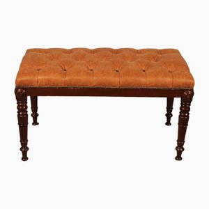 Antique Bench in Mahogany