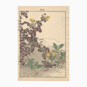Imao Keinen, Eurasian Wren from Keinen Kacho Gafu, 1892, Woodblock Print