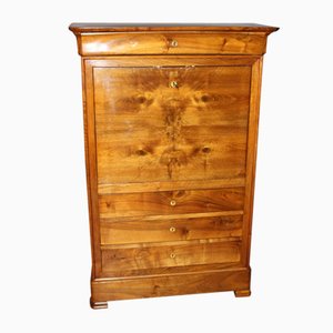 Louis Philippe Secretary in Walnut, 19th Century